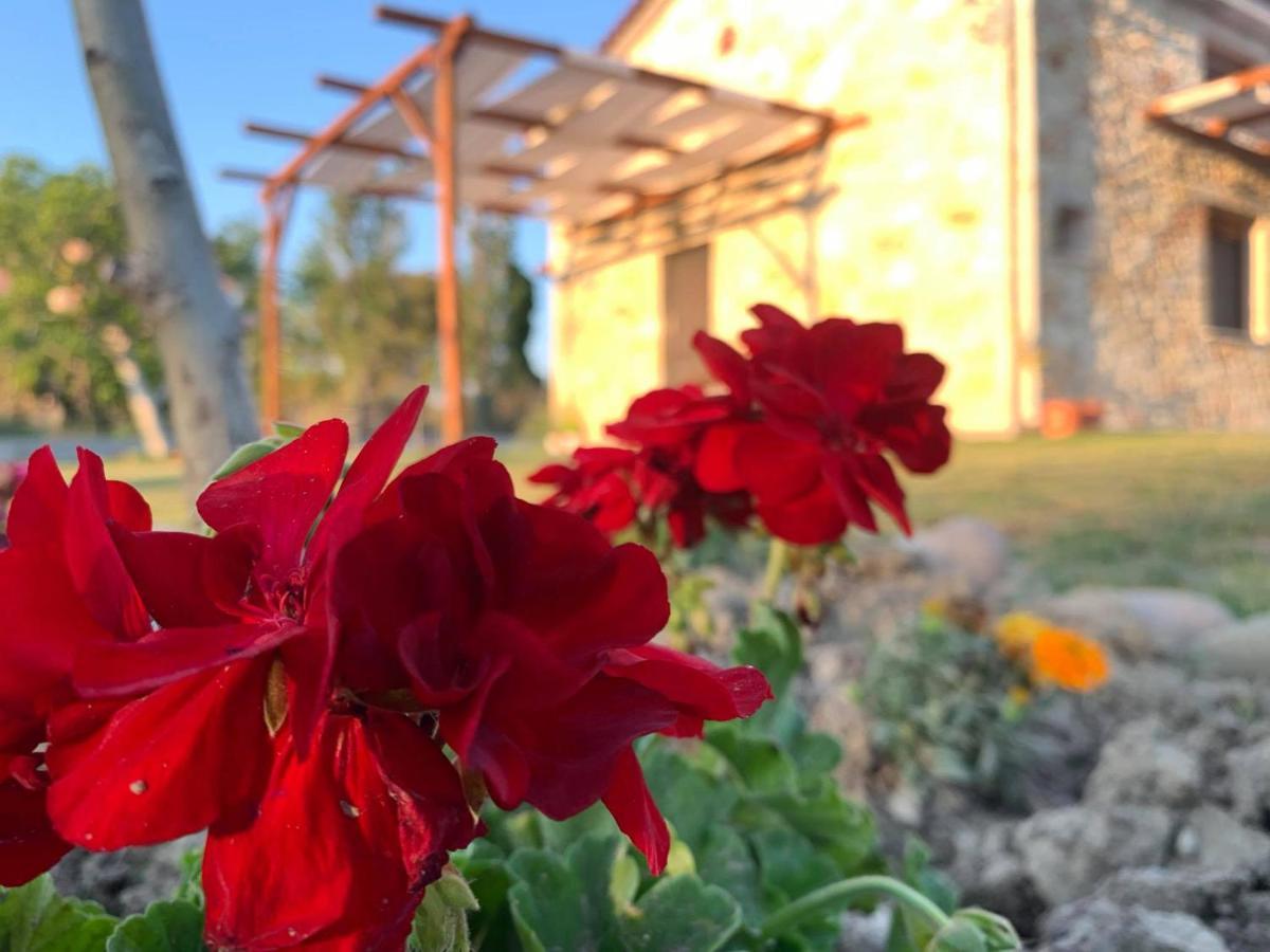 To Petrino Spiti Daire Possidi Dış mekan fotoğraf